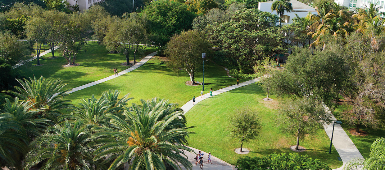 This is an aerial photo of the greenery on the University of Miami Coral Gables campus. There are four walkways with several students walking on them. The pathways connect two side of campus. There are large patches of grass and various trees scattered throughout the photo.