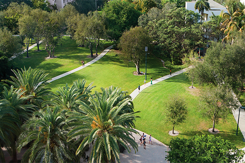 This is an aerial photo of the greenery on the University of Miami Coral Gables campus. There are four walkways with several students walking on them. The pathways connect two side of campus. There are large patches of grass and various trees scattered throughout the photo.