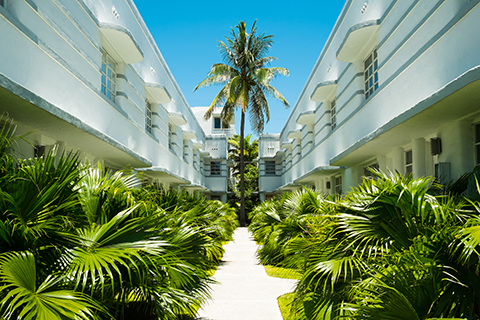 This is a stock photo from Shutterstock. This is the center of a courtyard in an apartment community. There is a cement pathway in the center which is lined by greenery on both sides. On both sides of the pathway are apartment buildings.